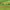 https://res.cloudinary.com/billionhands/image/upload/v1778850606/items/j379aoms6ufg1s3tnktk.avif-2cover