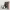 https://res.cloudinary.com/billionhands/image/upload/v1778851514/items/tdql4v4n52xlbikigmba.jpg-0cover