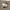 https://res.cloudinary.com/billionhands/image/upload/v1778857762/items/kwpheowgvnvkeeh2sizd.webp-2cover