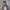 https://res.cloudinary.com/billionhands/image/upload/v1778862898/items/s8vpemkj8zaold9jyods.avif-0cover