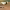 https://res.cloudinary.com/billionhands/image/upload/v1778863819/items/ymzygbvez7kxhsvrjcl6.webp-2cover