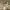 https://res.cloudinary.com/billionhands/image/upload/v1778864252/items/tyan3a1txeafp1azxzn9.jpg-3cover