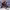 https://res.cloudinary.com/billionhands/image/upload/v1778872562/items/suwxeyl91jscwwuovxme.avif-3cover