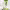 https://res.cloudinary.com/billionhands/image/upload/v1778873479/items/twvnrjdasbsmxi8d6vyp.jpg-1cover