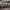 https://res.cloudinary.com/billionhands/image/upload/v1778875558/items/f9xzfudalcprv1qyoy3g.jpg-2cover