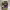 https://res.cloudinary.com/billionhands/image/upload/v1778876357/items/uk1qjvqv0bcamlvxet7a.jpg-2cover