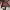 https://res.cloudinary.com/billionhands/image/upload/v1778877051/items/gp1ugcrpglzfgdlpzdae.jpg-1cover