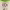 https://res.cloudinary.com/billionhands/image/upload/v1778877399/items/ppooqfwxxh6trzrld2ny.jpg-2cover