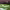 https://res.cloudinary.com/billionhands/image/upload/v1778877400/items/u6lwmsxrny407f14o0ny.jpg-3cover
