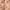 https://res.cloudinary.com/billionhands/image/upload/v1778877568/items/pgsl7opjucrna5ozxsqt.jpg-2cover