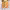 https://res.cloudinary.com/billionhands/image/upload/v1778877947/items/uusnwyf1abpb1lmb2qzb.jpg-2cover