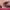 https://res.cloudinary.com/billionhands/image/upload/v1778878475/items/rg9zivxmm3tk8jhc8a0s.png-0cover