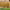 https://res.cloudinary.com/billionhands/image/upload/v1778883401/items/abstyvnfg2ricptdzztr.jpg-3cover