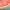 https://res.cloudinary.com/billionhands/image/upload/v1778886078/items/hvmqjjblr84yeajfuspv.webp-3cover
