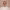 https://res.cloudinary.com/billionhands/image/upload/v1778887993/items/bsog8lkmnkmfoo9su5yx.png-1cover