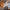 https://res.cloudinary.com/billionhands/image/upload/v1778894948/items/xhqi3ln7y4sucfob6vlg.webp-1cover
