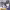 https://res.cloudinary.com/billionhands/image/upload/v1778899808/items/kctbkwxggmmxpngynraj.webp-2cover