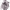 https://res.cloudinary.com/billionhands/image/upload/v1778899812/items/xqafaxt84o4cgvvpsaat.webp-2cover