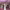 https://res.cloudinary.com/billionhands/image/upload/v1778909683/items/tjnqccgvcc3uta1ppjxy.webp-2cover