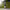 https://res.cloudinary.com/billionhands/image/upload/v1778912349/items/uytqzxtccbfu0ntf6l8z.jpg-0cover