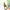 https://res.cloudinary.com/billionhands/image/upload/v1778912357/items/y7a34y5neap2cdz2dlzc.jpg-2cover
