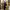 https://res.cloudinary.com/billionhands/image/upload/v1778918163/items/esdaqkzpryxs9zib0tqo.jpg-0cover