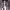 https://res.cloudinary.com/billionhands/image/upload/v1778920132/items/x439m8df4b1nqzn4mvvx.webp-3cover