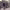 https://res.cloudinary.com/billionhands/image/upload/v1778920672/items/llnphskmnanwojuedg4t.webp-2cover