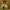 https://res.cloudinary.com/billionhands/image/upload/v1778926189/items/vp5iekx0sezzlwm22y2g.jpg-0cover