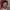https://res.cloudinary.com/billionhands/image/upload/v1778926190/items/rwu16r1y8cxzwk58bzjy.jpg-1cover