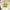 https://res.cloudinary.com/billionhands/image/upload/v1778926292/items/cmzoirtomwf4ewnska47.jpg-3cover