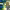 https://res.cloudinary.com/billionhands/image/upload/v1778927659/items/azy9ch0jwv55mbbsq7ez.jpg-2cover