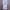 https://res.cloudinary.com/billionhands/image/upload/v1778929297/items/czeq9wagnwkxbfajxbow.webp-3cover