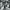 https://res.cloudinary.com/billionhands/image/upload/v1778940267/items/bhefvnmkl3or6zh4icq4.webp-0cover
