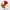 https://res.cloudinary.com/billionhands/image/upload/v1778941306/items/eajxscowokvqxubjureg.jpg-1cover