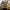 https://res.cloudinary.com/billionhands/image/upload/v1778943342/items/bdbghelezetcgdckwnhc.webp-3cover