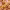 Palmiers cover