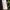 Family Flashlight Neighborhood Countdown Walk cover