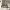 https://res.cloudinary.com/billionhands/image/upload/v1778950342/items/kncw06holi2xrxbesdps.jpg-3cover