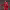 https://res.cloudinary.com/billionhands/image/upload/v1778951278/items/pnfpllt0lx7slxr9kmhf.jpg-3cover