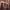 https://res.cloudinary.com/billionhands/image/upload/v1778951874/items/ld8pbh0slnh3qpuur1vs.jpg-1cover