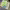 https://res.cloudinary.com/billionhands/image/upload/v1778959168/items/i3euppqkcwhnyqwwst2x.jpg-0cover