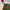 https://res.cloudinary.com/billionhands/image/upload/v1778960208/items/ul1yjcqbw5qdnhhszc5f.jpg-0cover