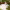 https://res.cloudinary.com/billionhands/image/upload/v1778965884/items/gwstq11ueh7m2dw37hkn.jpg-2cover