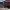 https://res.cloudinary.com/billionhands/image/upload/v1778965885/items/jwols0jtosc3mhmqabgn.jpg-1cover