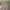 https://res.cloudinary.com/billionhands/image/upload/v1778965888/items/szpr2sbrsewckhl2giqe.jpg-2cover