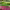 https://res.cloudinary.com/billionhands/image/upload/v1778965892/items/bmqoh9tkumqvncipvces.jpg-3cover