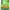 https://res.cloudinary.com/billionhands/image/upload/v1778973781/items/bijwbl999lm4gdqkc74d.webp-2cover