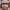 Richie Tenenbaum cover