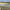 https://res.cloudinary.com/billionhands/image/upload/v1778980113/items/ynokyellhjibvico5oce.jpg-1cover